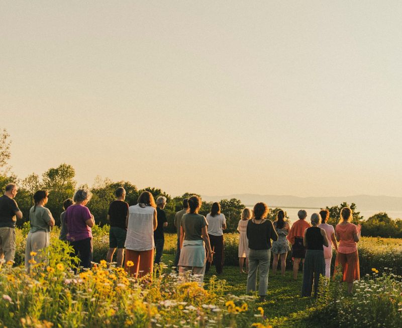 Une vingtaine de personnes debout dans un champ fleuri, contemplant le fleuve Saint-Laurent au couchant.