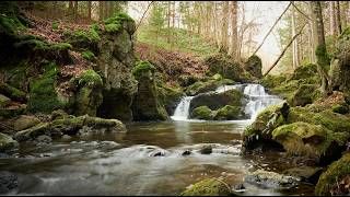 La rivière du mental
