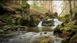 La rivière du mental