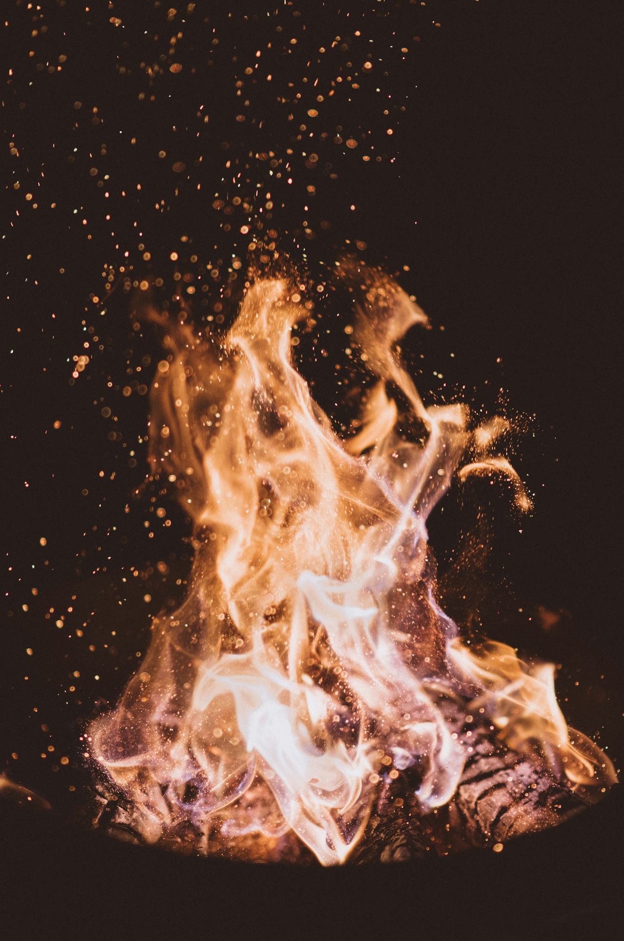 La magie de Noël