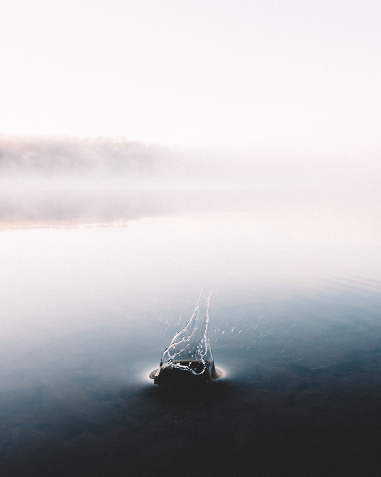 Sous la surface