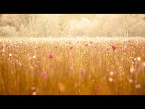 Bercé par le souffle