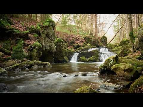 La rivière du mental