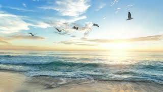 Ancrage et respiration en pleine conscience